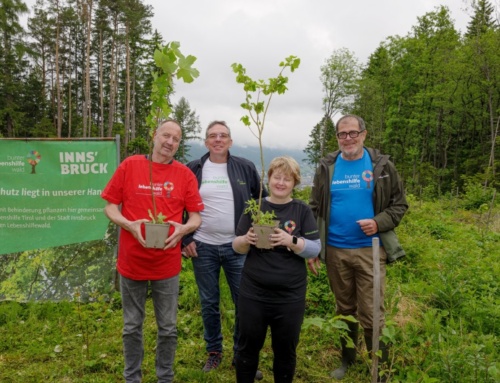 Bunter Lebenshilfe Wald