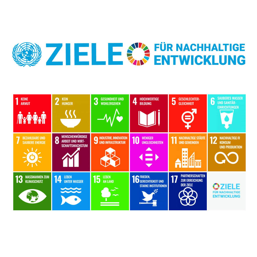 SDG Entwicklungsziele