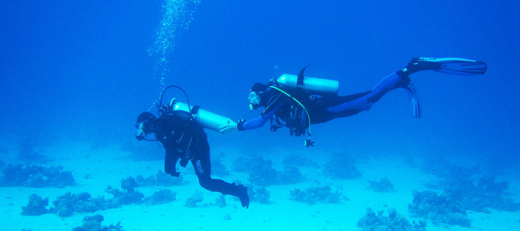 Zwei Taucher mit Sauerstoffflasche schweben am Meeresgrund entlang.