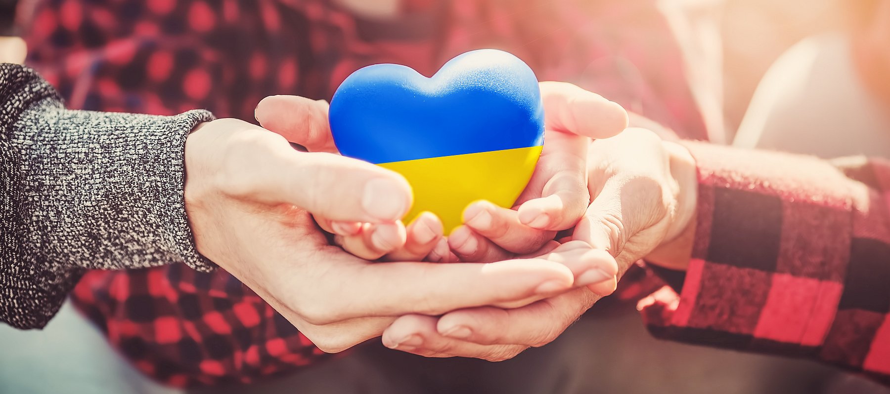 Mehrere Hände halten ein Herz, das in den Farben der Ukraine bemahlt ist: Oben blau unten gelb